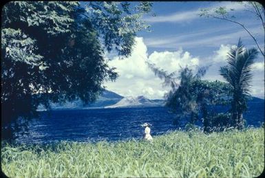 Blanche Bay and Matupi volcano (1) : Rabaul, New Britain, Papua New Guinea, 1960-1961 / Terence and Margaret Spencer