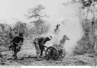 1943-09-28. NEW GUINEA. ADVANCE ON SALAMAUA. LT. ROY DAWSON FIRING JAPANESE AMMUNITION FROM A CAPTURED JAPANESE MOUNTAIN GUN AGAINST JAPS. THE GUNWAS CAPTURED BY THE AUSTRALIAN DURING THE ADVANCE ..