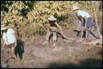 Vaiohu'a archaeological excavation, Moorea: men sifting fill