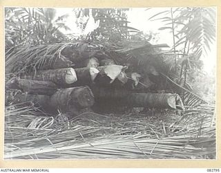 MADANG, NEW GUINEA. 1944-10. THE SIDE OF NO. 2 BUNKER SHOWING ITS COCONUT LOG CONSTRUCTION. THE BUNKER WAS USED IN PENETRATION TESTS CONDUCTED AT HQ 4 ARMOURED BRIGADE