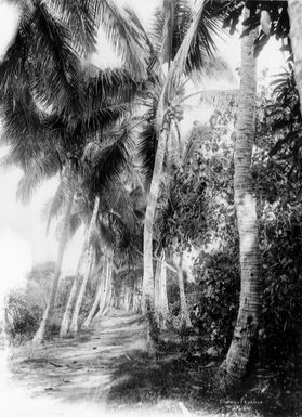 Coconut Avenue