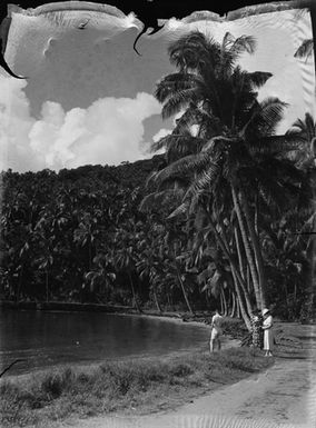 [Elevated view of three Pacific Island canoes]