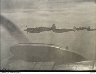 BISMARCK ARCHIPELAGO. 1944-03-28. AIRCRAFT, CODE NAMED UP-T, UP-S, UP-C AND UP-W, OF NO. 79 (SPITFIRE) SQUADRON RAAF, IN FLIGHT OVER NEW BRITAIN EN ROUTE FROM KIRIWINA TO THE ADMIRALTY ISLANDS. ..