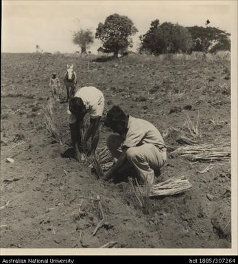 Soil Conservation