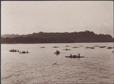 Solomon Islanders in canoes on Graciosa Bay, Santa Cruz Islands, 1906, 5 / J.W. Beattie