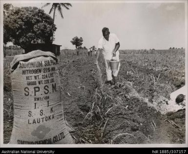 Farmer spreading Ammonium Sulphate