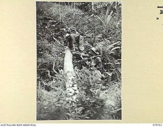 AITAPE, NEW GUINEA. 1945-03-16. A "22" TRANSCEIVER (AUSTRALIAN) WIRELESS SET BEING TRANSPORTED BY MEMBERS FROM HEADQUARTERS 6TH DIVISION SIGNALS WITH THE ASSISTANCE OF POLES