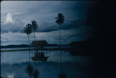 Night time is coming closer : New Britain coastline, Papua New Guinea, 1960 / Terence and Margaret Spencer