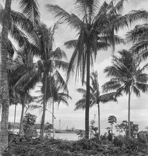 WIDE BAY, NEW BRITAIN, 1945-05-06. THE AK 82 (FORMERLY THE ALMA-DOEPEL), 16 WATERCRAFT COMPANY, ROYAL AUSTRALIAN ENGINEERS, VIEWED THROUGH A TROPICAL SETTING WHILE BERTHED AT THE NEW WHARF. TOL ..