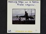 Making sago in a Sepik River lagoon, [Papua New Guinea, 1969?]