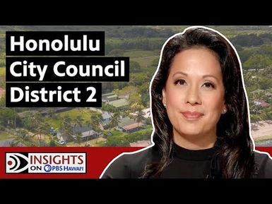 Honolulu City Council District 2 | INSIGHTS ON PBS HAWAIʻI