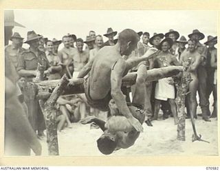 KELANOA, NEW GUINEA, 1944-02-20. NX3130 LANCE-BOMBARDIER R.H. DAGLE (1) WON THE GREASY POLE CONTEST ON HITTING THE GROUND A SECOND AFTER WX40205 PRIVATE F. PUTRINO (2). THIS CONTEST WAS ORGANISED ..