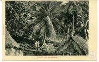 Tahiti. - Sur une plantation