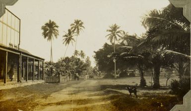 Street in Tonga, 1928