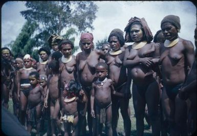 Taken on patrol, Kerowil meris (women) : Wahgi Valley, Papua New Guinea, 1954-1955 / Terence and Margaret Spencer