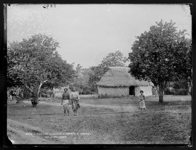 Tongan village, Neiafu, Vavau