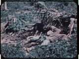 USMC 101470: Guam war dogs and cemetery
