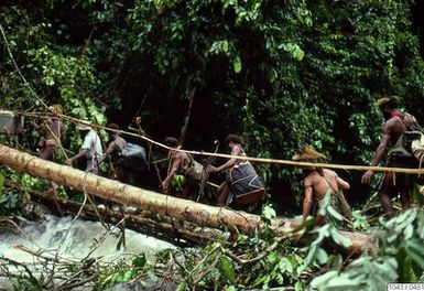 ["fotografi, photograph"]