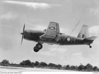 KIRIWINA, TROBRIAND ISLANDS, PAPUA. 1943-12-26. A VULTEE VENGEANCE DIVE BOMBER AIRCRAFT, CODE NV-H, RAAF SERIAL NO. A27-243, OF NO. 23 (VENGEANCE) SQUADRON RAAF COMING IN TO LAND AFTER A RAID ON ..