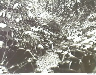 NEW BRITAIN, 1945-09. JAPANESE AIRCRAFT ENGINES IN THE JUNGLE IN THE RABAUL/GAZELLE PENINSULA AREA. THE ENGINES WERE Ha-25 USED IN Ki-43 "OSCAR" AIRCRAFT. (RNZAF OFFICIAL PHOTOGRAPH.)