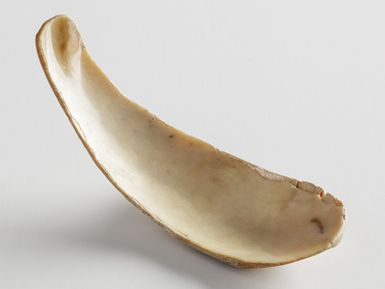 spoon