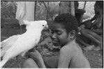 Fainjur: child with fungal skin infection holds white cockatoo