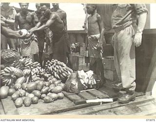 WIDERU, NEW GUINEA. 1944-05-12. NATIVES LOAD A BARGE WITH PRODUCE FROM NATIVE GARDENS. THE BARGE CHARTERED FROM LAE BY THE AUSTRALIAN ARMY SERVICE CORPS, TRANSPORTS FRUIT AND VEGETABLES WEEKLY TO ..