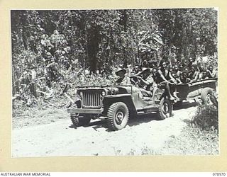 BOUGAINVILLE AREA. 1945-01-22. MEMBERS OF A NATIVE UNDERGROUND MOVEMENT BEING TRANSPORTED TO A REST CAMP BY PERSONNEL OF THE AUSTRALIAN AND NEW GUINEA ADMINISTRATIVE UNIT HEADQUARTERS