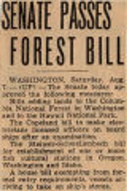 Senate passes forest bill Northwest History. Federal Affairs. Legislation. 1937-08-08