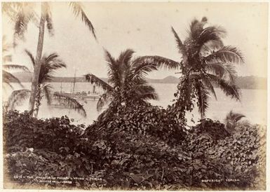 The Harbour - Neiafu - Vavau - Tonga. From the album: Views of New Zealand Scenery