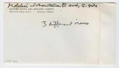 [Mountains East end, South side in Hawaii, envelope IE28-202]
