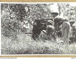 DONADABU AREA, NEW GUINEA. 1943-11-30. A 2-POUNDER TANK ATTACK GUN OF THE 2/4TH. AUSTRALIAN FIELD REGIMENT IN ACTION DURING A COMBINED EXERCISE WITH THE 2/10TH AUSTRALIAN INFANTRY BATTALION. SHOWN ..