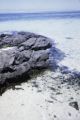 French Polynesia, volcanic rock on shoreline of Bora Bora