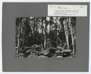Timber Management: Types - Hawaii