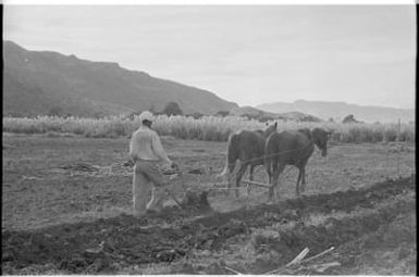 Fieldwork in Fiji