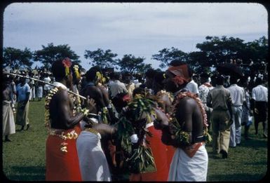 Papuans attending a sing-sing, between 1955 and 1960 / Tom Meigan
