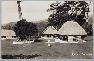 Avele School