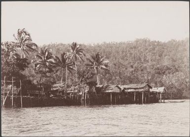 Men's quarters, Ferasiboa, Solomon Islands, 1906, 1 / J.W. Beattie