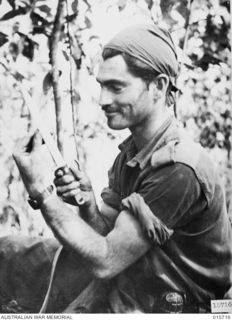 1943-09-15. NEW GUINEA. GOODVIEW JUNCTION. PTE. HARRY MCLENNAN, OF DIMBOOLA, VIC., WITH A JAPANESE BAYONET WHICH HE FILED DOWN FOR USE AS A SHEATH KNIFE. (NEGATIVE BY H. DICK)