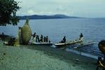 Canoes and fish trap, making a new one, Rabaul Harbour