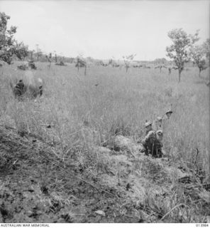 1942-12-05. BUNA. ALLIED TROOPS MOVE IN BEHIND TANKS ON BUNA. (NEGATIVE BY G. SILK)