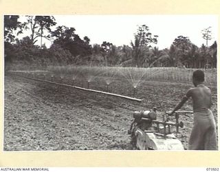 NARAKAPOR, NEAR NADZAB, NEW GUINEA. 1944-05-27. A SACKS IRRIGATION PLANT WORKING IN THE BEETROOT PLANTATION AT NO.2 PLATOON, 6TH FARM COMPANY. THE TOMATO CROP IS LOCATED AT THE REAR. THE NUMERICAL ..