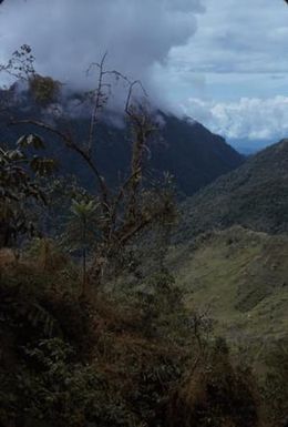 Landscape of forested valley at Sarawaket Range in Papua New Guinea] BRIT-A-AR003-003-04-066