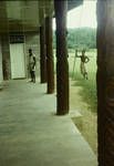 Carved support pillars on Maprik District Office veranda, carved posts were always used in building Sepik "long houses", [Papua New Guinea], 1964