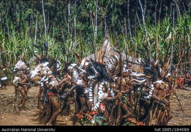 Kotuni - local group