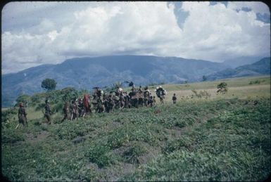 The bride and her retinue set out to meet the representatives of the Kukiga Clan : Wahgi Valley, Papua New Guinea, 1955 / Terence and Margaret Spencer