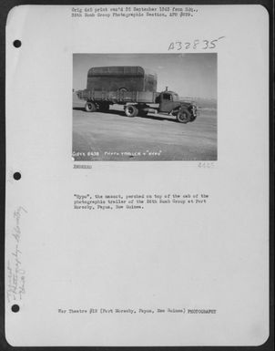 "Hypo," the mascot, perched on top of the cab of the photographic trailer of the 38 Bomb Group at Port Moresby, Papua, New Guinea. (U.S. Air Force Number 3A32835)