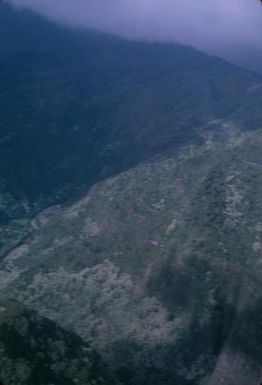 [Aerial view of a valley in Lihue, United States]