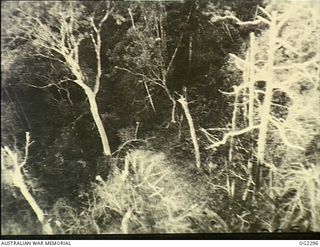 NEAR RURI BAY, NORTHERN BOUGAINVILLE ISLAND, SOLOMON ISLANDS. 1945-03-04. THREE JAPANESE TANKS INTENDED BY THE ENEMY FOR USE AS A SURPRISE WEAPON AGAINST AUSTRALIAN TROOPS FIGHTING IN THE NORTHERN ..