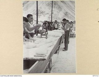 KILIGIA, NEW GUINEA. 1944-03-14. BAKERS OF THE 8TH FIELD BAKERY PLATOON, WITH THE BREAD AT THE TABLE BEING WEIGHED AND RESHAPED BEFORE BAKING